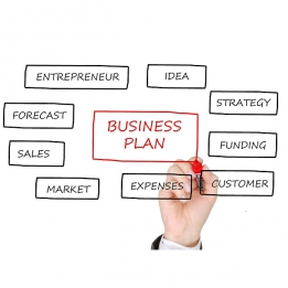 Business Planning and Improvement 